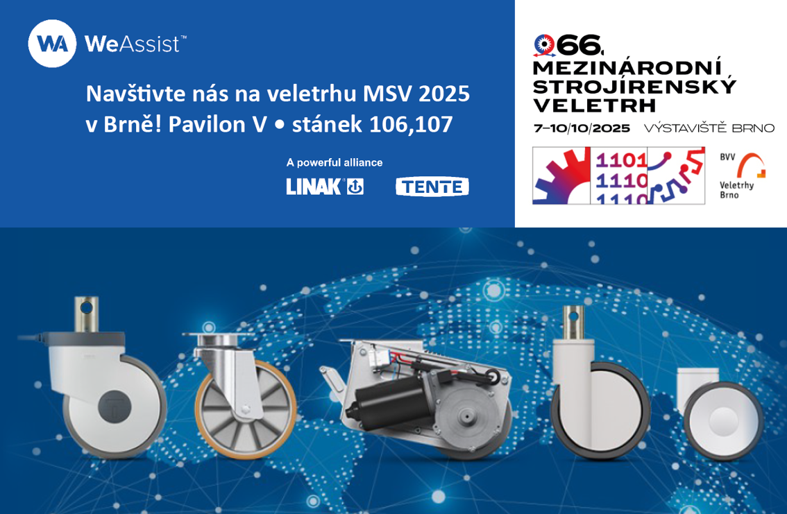 MSV 2025