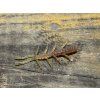 Bug - 7,1cm (Světle olivová barva) balení po 10ks - Pro spin baits 35