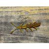 Bug - 7,1cm (Motor oil barva) balení po 10ks - Pro spin baits 02
