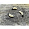 Plujka - larva 2,5cm (Kosťák barva) balení po 20ks - Pro spin baits