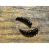 Licha - Larva roháče - 3,5cm (černá barva) balení po 10ks - Collab baits studio
