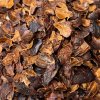cascara2