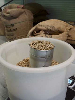 Takhle vypadá káva ještě předtím, než začne vonět jako káva. 👀☕️ Zelená zrna čeká pražení, během kterého postupně získají...