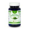 Gymnema Sylvestre Gurmar 100ks www