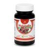 Hylandia dockrillii 100ks 19 9 2021