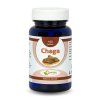 Chaga 100ks www