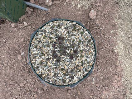 Decorative cover for wastewater treatment plants