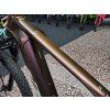 KTM MACINA TEAM 792 – Glorious Sunset Matt (Silver+Black), Bosch 750 Wh