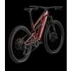 RAY Ravor Pro rubyred back