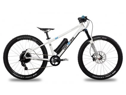 ben-e-bike TWENTYFOUR E-POWER PRO