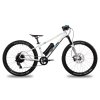 ben-e-bike TWENTYFOUR E-POWER PRO