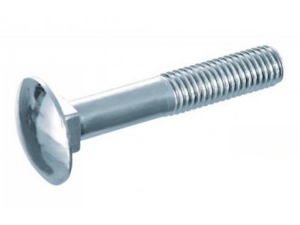 ŠROUB vratový 6x40  zinkovaný