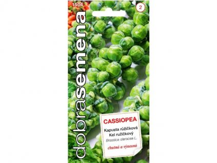 kapusta ruzickova cassiopea