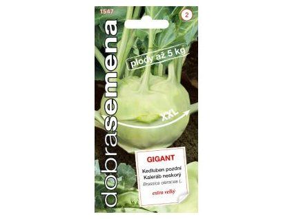 GIGANT 0 8 g Kedluben