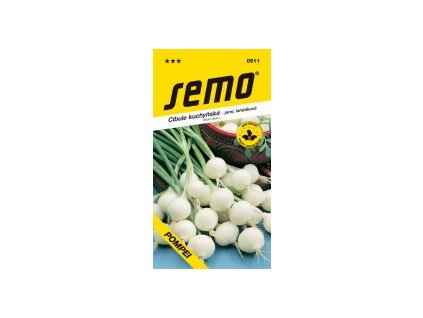 zelenina cibule kuchynska pompei