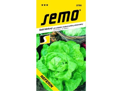 Salát hlávkový k rychlení - Neferin stud. skleníky a fol. 0,6g