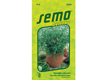 5950 semo bylinky saturejka zahradni