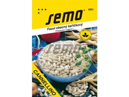 fazol obecny kerickovy cannellino