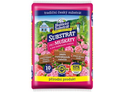 pi400 66 186191 6c766bd2 6fd8 41ed b77a fee943101317jpeg 540 540 611161