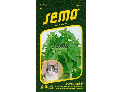 trvalky santa kocici cat grass