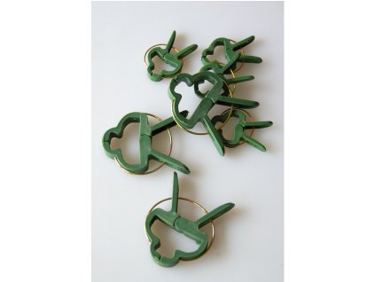 klip rostliny 63458 791617 2