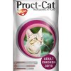 proct cat chicken
