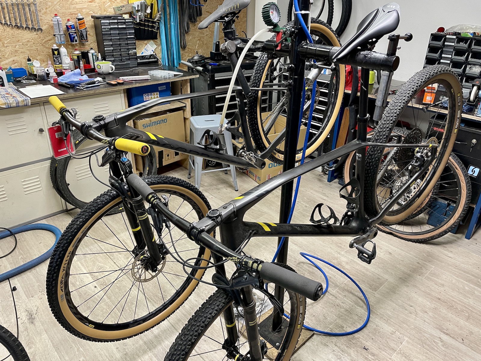 Proč je právě teď ten nejlepší čas na servis vašeho kola 🚴‍♂️