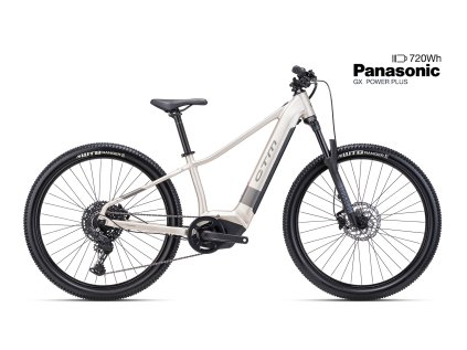 RUBY GX PRO 29" (Veľkosť M (16"), Farba matná zlatosivá / šedá)