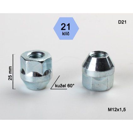 D21 1