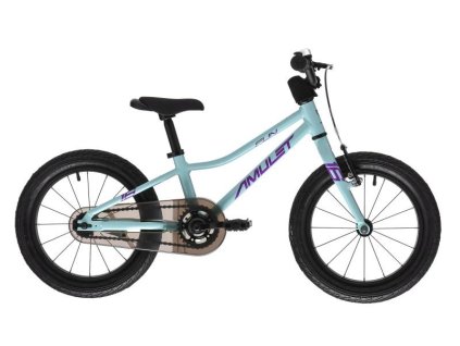 amulet 16 fun celeste