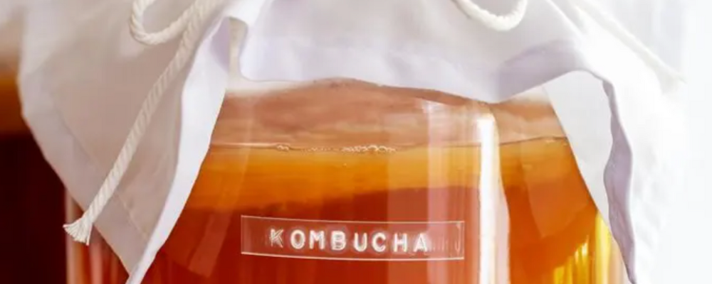 Příprava SCOBY na „pauzu“