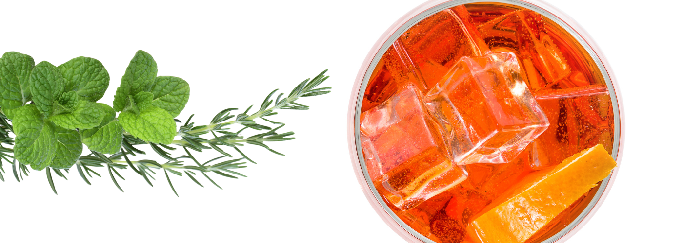 Kombucha Spritz
