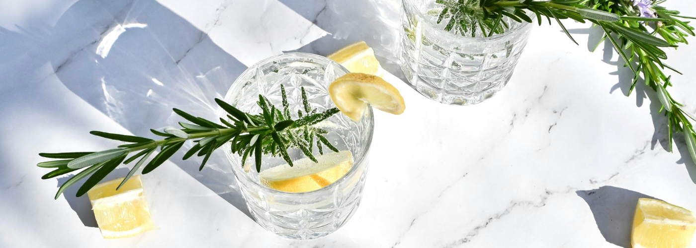 Kombucha Tonic Fizz