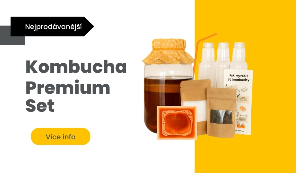 kombucha premium set
