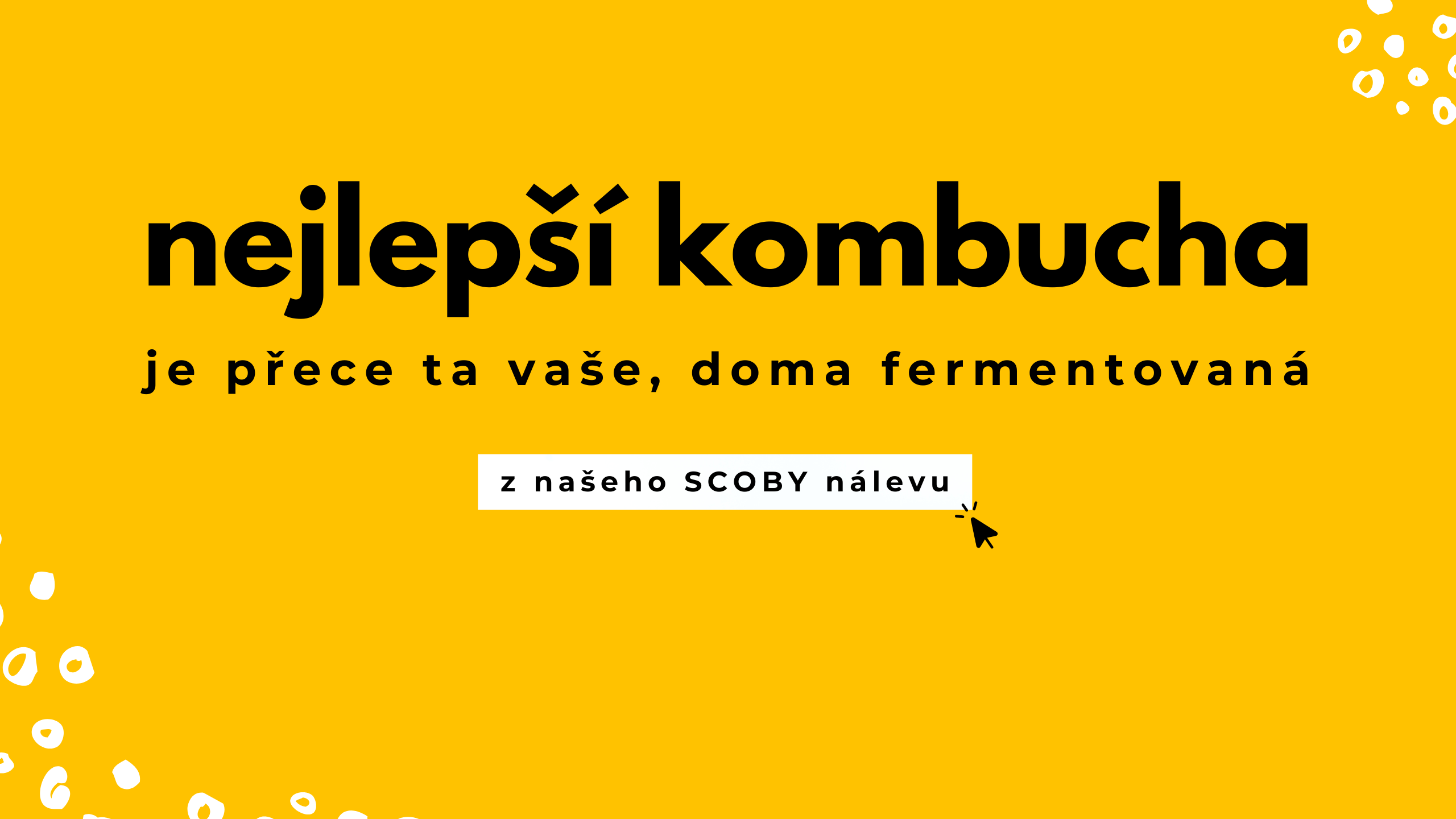 Kombucha 1