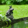 Ubbink Záhradná fontána v tvare žaby 442054