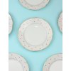 Polka Dot Bohemia Dinner Plate