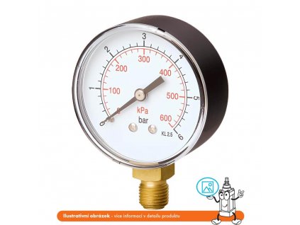 Side manometer 0/100 bar - 63 mm - 1/4"