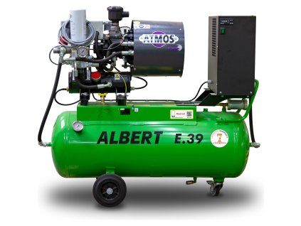 albert e39 2000