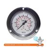 Pressure gauge with face flange 0/10 bar - 50 mm - 1/4"