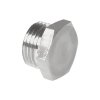 Plug with hexagon a external thread G1"