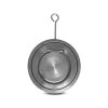 Check valves ZKS DN80