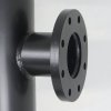 SFH detail 1
