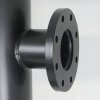 SFH detail 1