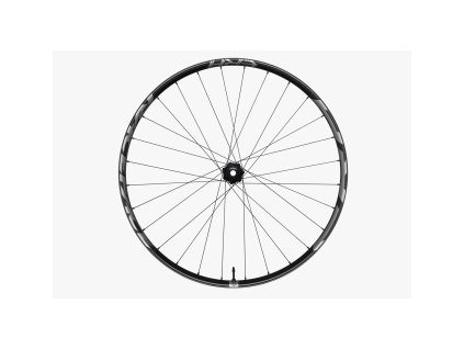 RACE FACE zapletené kolo ERA 30 6B 29 přední 15x110