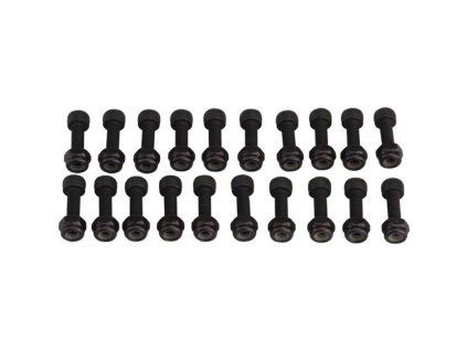 RACE FACE náhradní díl PEDAL PIN KIT, CHESTER, PIN/NUT, 20 SETS