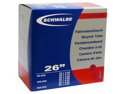 duse schwalbe 26 fatbike sv13j