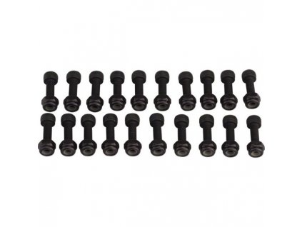 RACE FACE náhradní díl PEDAL PIN KIT, CHESTER, PIN/NUT, 20 SETS