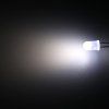 Hebei 560PWD LED 5mm bílá studená