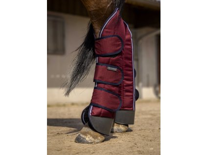 402086033 ambi 3 web